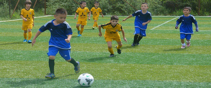SportLife