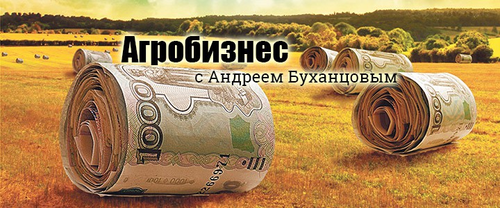 Агробизнес с Андреем Буханцовым
