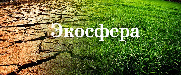 Экосфера