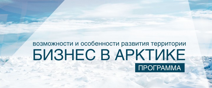 Бизнес в Арктике