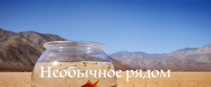 Необычное рядом